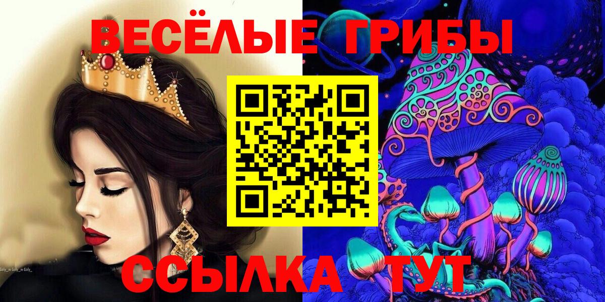 Кемерово  Псилоцибиновые грибы Psilocybine cubensis  Вход с VPN 